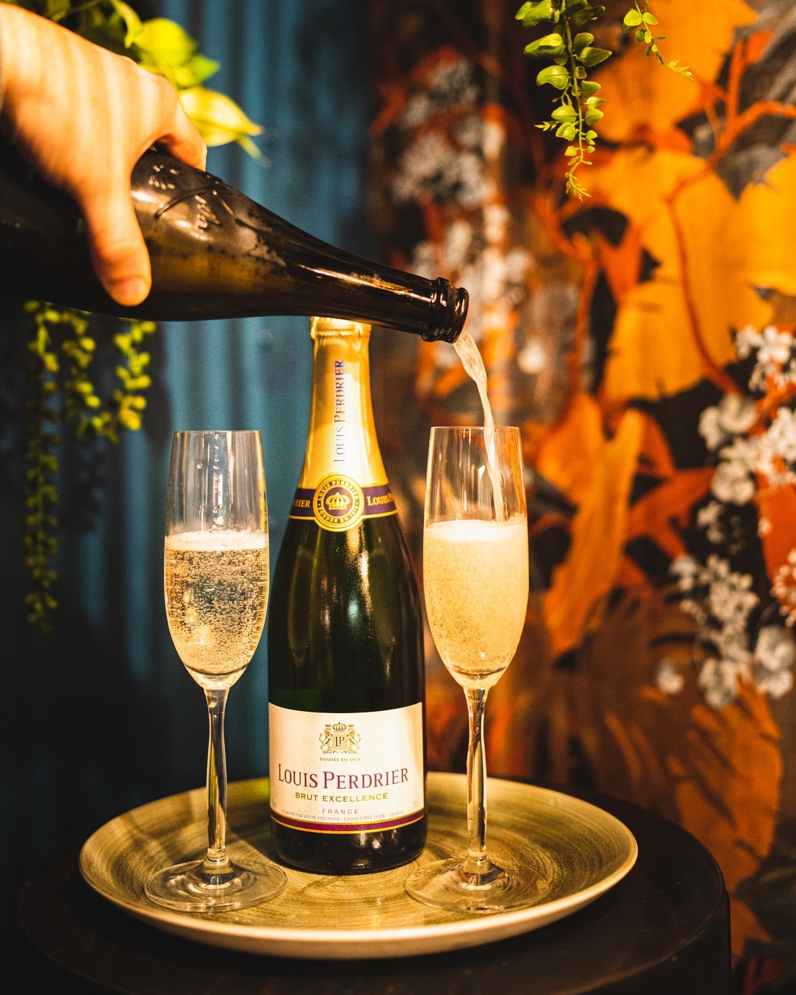 486491910_9616048258459829_4883103376390649636_n